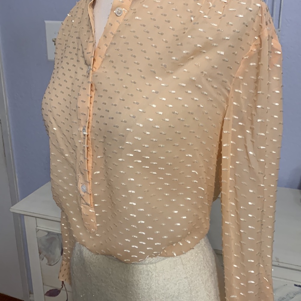 Gifted J Crew Blouse - Picture 1 of 7